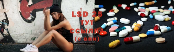 PSILOCYBIN Магас