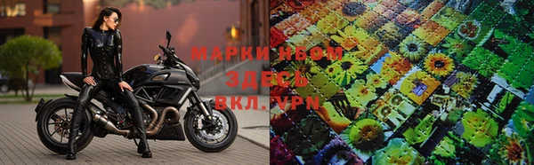 гидра Вязники