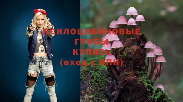 гидра Вязники