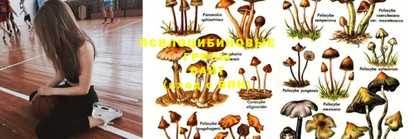 гидра Вязники