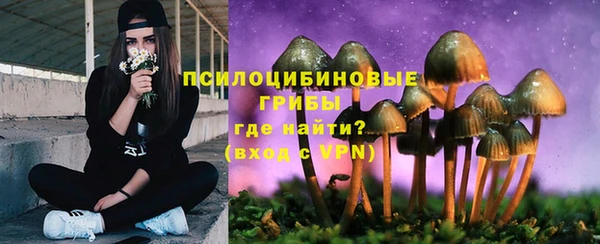 марки lsd Вяземский