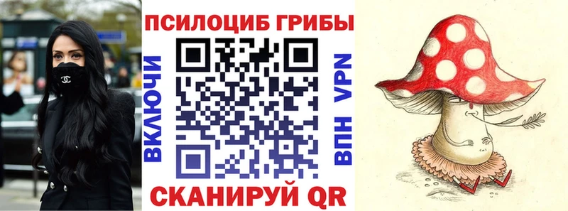 Галлюциногенные грибы Magic Shrooms  Данилов 