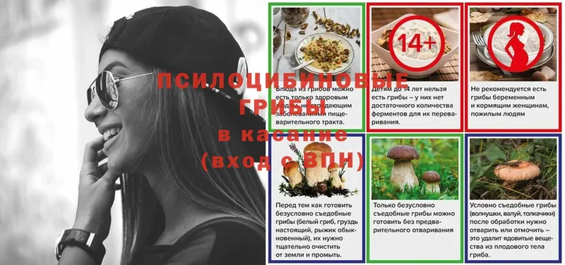 Галлюциногенные грибы Psilocybe  Данилов 